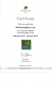 green hosting, carbon neutral hosting